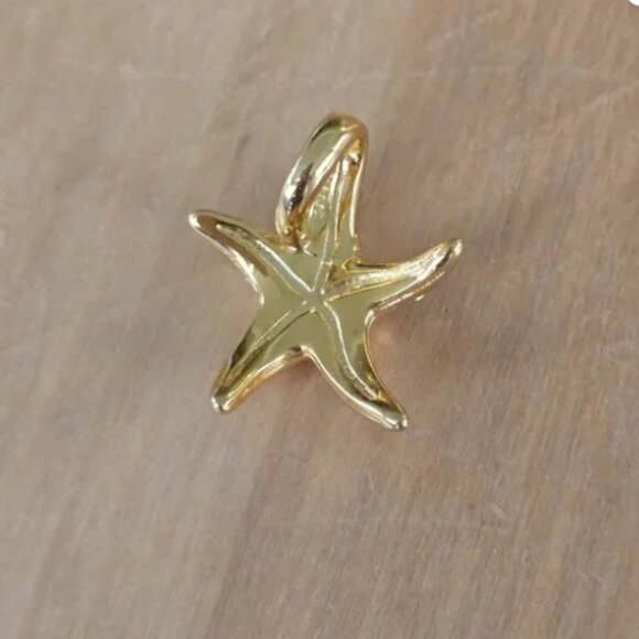 NWOT Gold Starfish Big Charm for bracelet or Chain - Picture 8 of 8